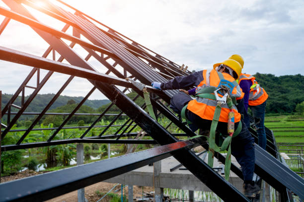 Best Roof Repair Services  in Lanett, AL