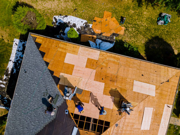 Best Roof Waterproofing Services  in Lanett, AL
