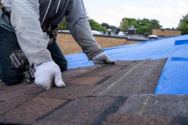 Best Flat Roof Repair Services  in Lanett, AL
