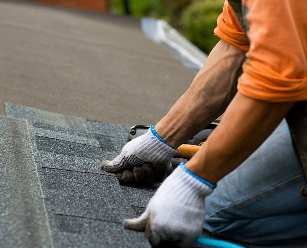 Best Shingle Roofing Installation  in Lanett, AL
