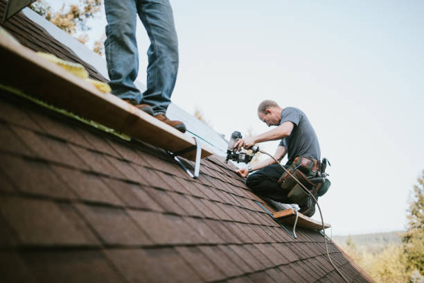 Quick and Trustworthy Emergency Roof Repair Services in Lanett, AL
